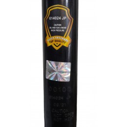 Ammortizzatori posteriori 614024JP Bmw X3 2.0 Td 190cv 2003-2010 - Ammortizzatore - 2