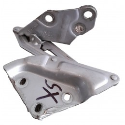 Cerniera cofano anteriore sinistra 7L6823301 Volkswagen Touareg 2.5 R5 Tdi Dpf 2002-2007 - Cerniera - 1