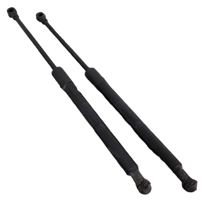 Pistoncini molle a gas anteriori Bmw Serie 3 E91 320D 2005-2012 - Pistoncini a gas - 1