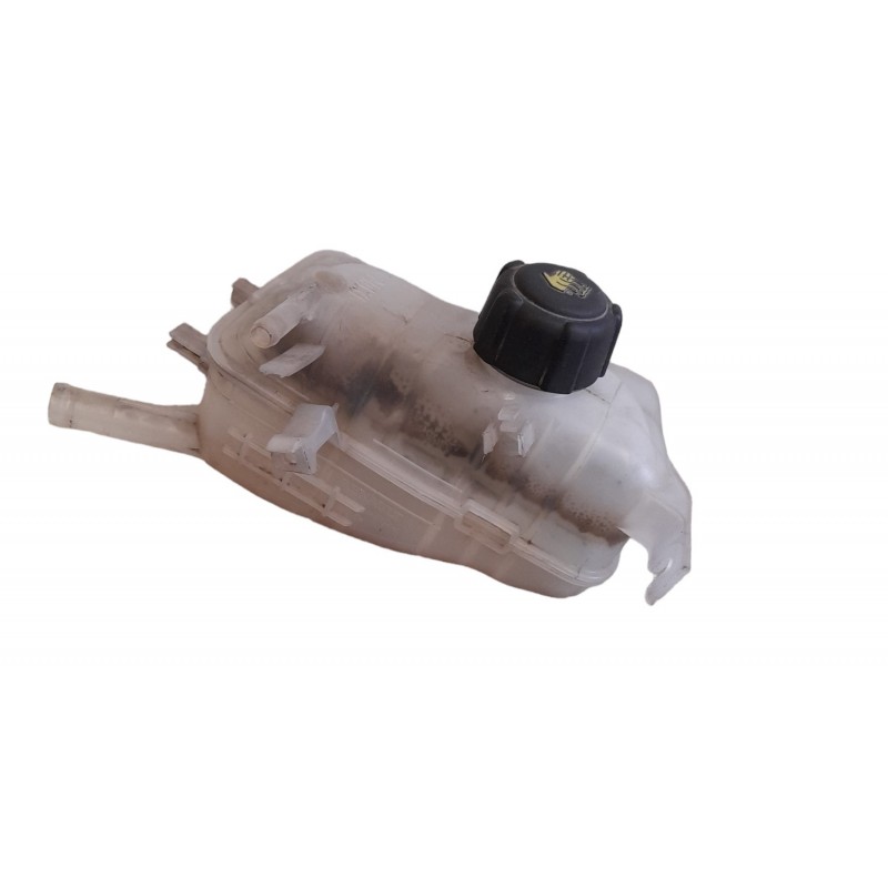 Vaschetta acqua motore 217100005R Renault Scenic III 1.5 Dci 110cv 2009-2016 - Vaschette - 1 Vaschetta acqua motore 217100005R Renault Scenic III 1.5 Dci 110cv 2009-2016 - Vaschette - 1