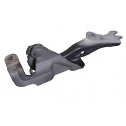 Cerniera cofano anteriore destra Mazda CX7 I 2.2 MZR CD 2006-2012 - Cerniera - 1