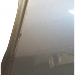 Porta posteriore sinistra Renault Megane Scenic 2003-2009 - Portiera - 4