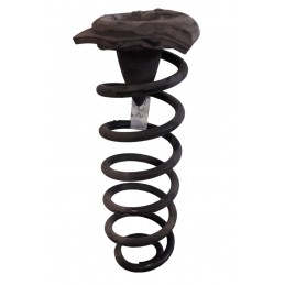 Molla ammortizzatore posteriore Renault Scenic II 1.9 Dci 2003-2009 - Molle sospensione - 1 Molla ammortizzatore posteriore Renault Scenic II 1.9 Dci 2003-2009 - Molle sospensione - 1