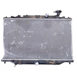 Radiatore acqua 2220009263...