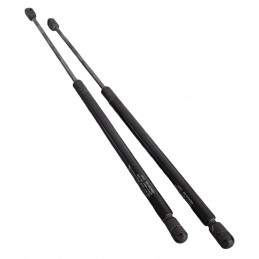 Pistoncini molle a gas...