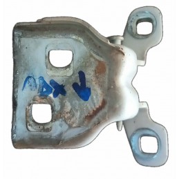 Cerniera inferiore porta...