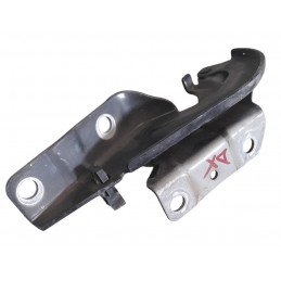 Cerniera cofano anteriore...