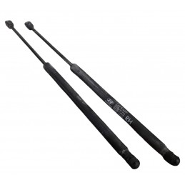 Pistoncini molle a gas...