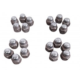 Dadi ruota kit 20 pezzi...