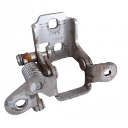 Cerniera porta posteriore...