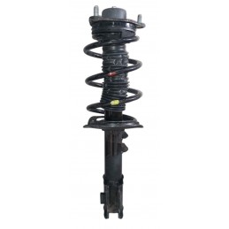 Ammortizzatore anteriore...