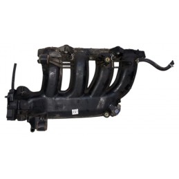 Collettore aspirazione...