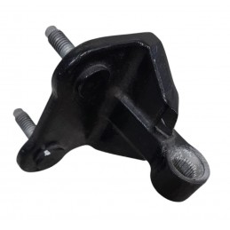 Cerniera porta posteriore...