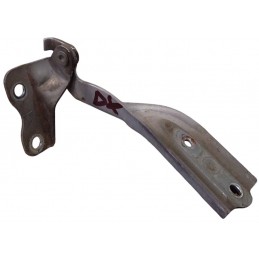 Cerniera cofano anteriore...