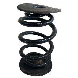 Molla posteriore Bmw Z4 E85...