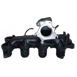 Collettore aspirazione...