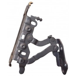 Cerniera cofano anteriore...