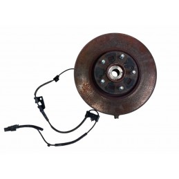 Fusello montante anteriore...