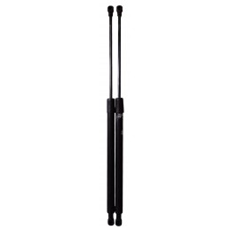 Pistoncini molle a gas...