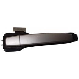 Maniglia esterna porta...