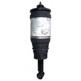 Ammortizzatore pneumatico...