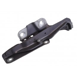 Cerniera cofano anteriore...