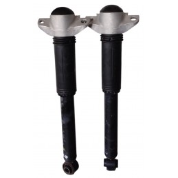 Ammortizzatori posteriori...