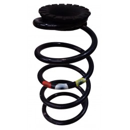 Molla sospensione...