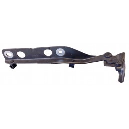 Cerniera cofano anteriore...