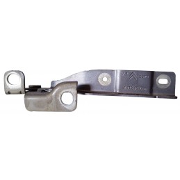 Cerniera sinistra cofano...