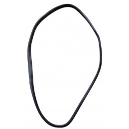 Guarnizione porta anteriore...