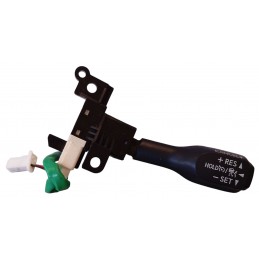 Leva regolazione cruise...