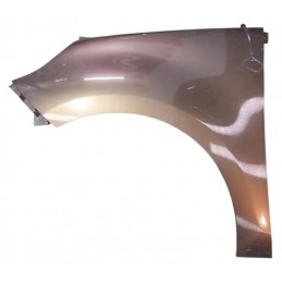 Parafango anteriore...