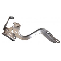 Cerniera sinistra cofano...