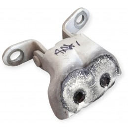 Cerniera inferiore porta...