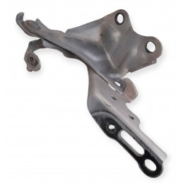 Cerniera sinistra cofano...