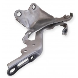 Cerniera destra cofano...