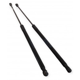 Pistoncini molle a gas...