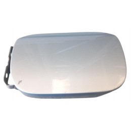 Sportello carburante...