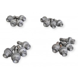 Dadi ruota kit 16 pezzi...