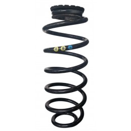 Molla sospensione posteriore Lancia Delta 1.6 Multijet 88 kw 2008-2014 - Molle sospensione - 1