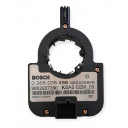 Sensore angolo di sterzo...