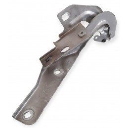 Cerniera sinistra cofano...