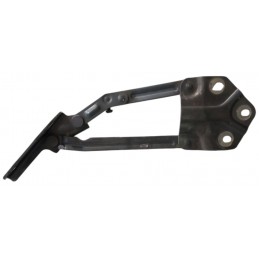 Cerniera cofano anteriore...