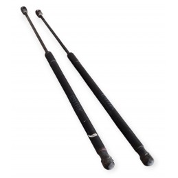 Pistoncini molle a gas...