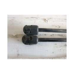 Pistoncini molle a gas post. Fiat Multipla - Pistoncini a gas - 2