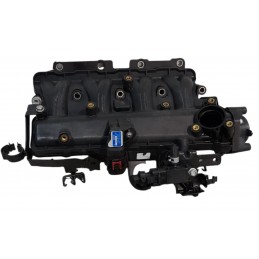 Collettore aspirazione...