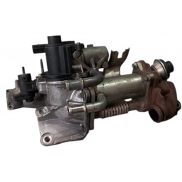 Valvola EGR con scabiatore...