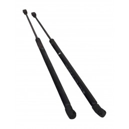 Pistoncini molle a gas...