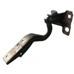 Cerniera cofano anteriore...